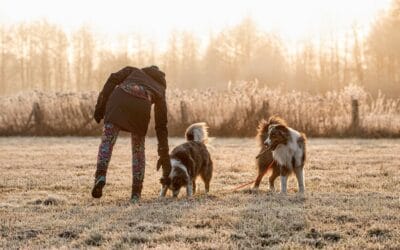 Dlaczego pies zjada śmieci?