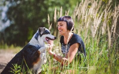 Od czego zacząć budowanie więzi z psem?