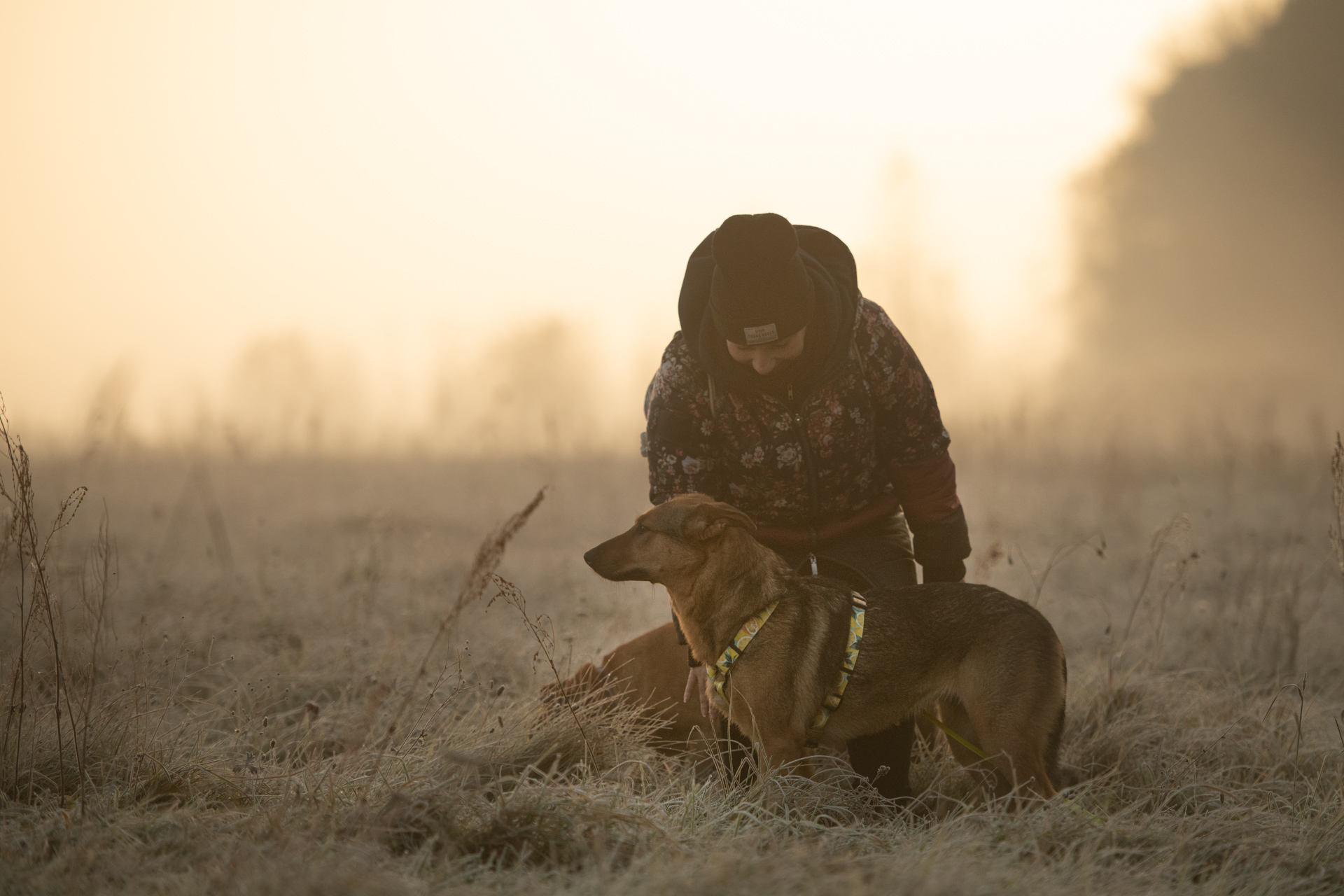 trenerka z&nbsp;psem