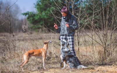 „Czy to&nbsp;prawda, że&nbsp;pies powinien mieć jednego „przewodnika”?
